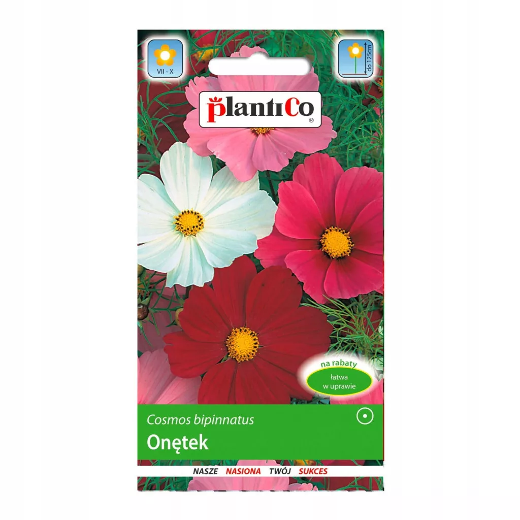kamenik-4202609161818152216298