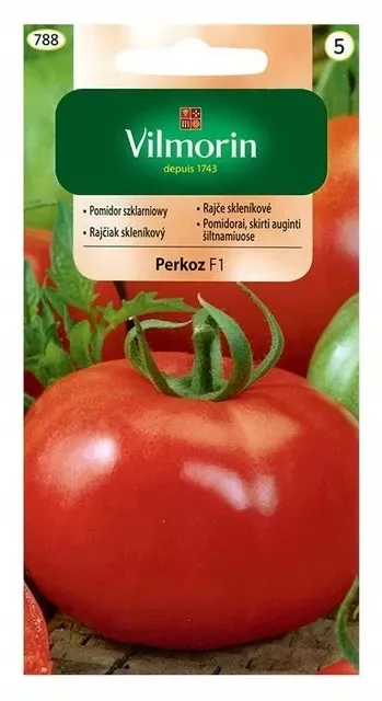 kamenik-4202609161929492225871