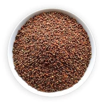kamenik-4202609162353542262437