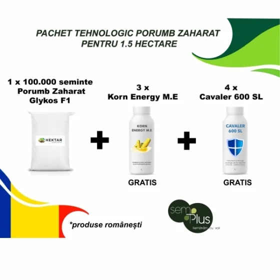 marketall202609161928482225726