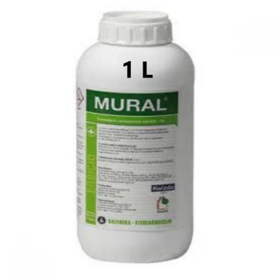 marketall202609162020162233217