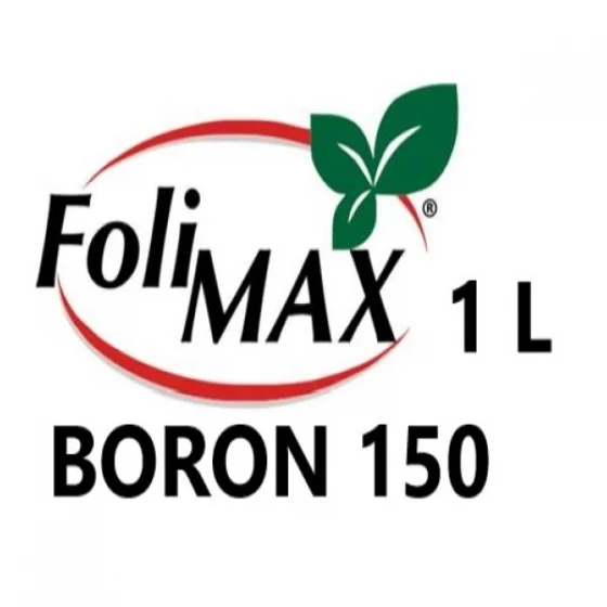 marketall202609162030192234566