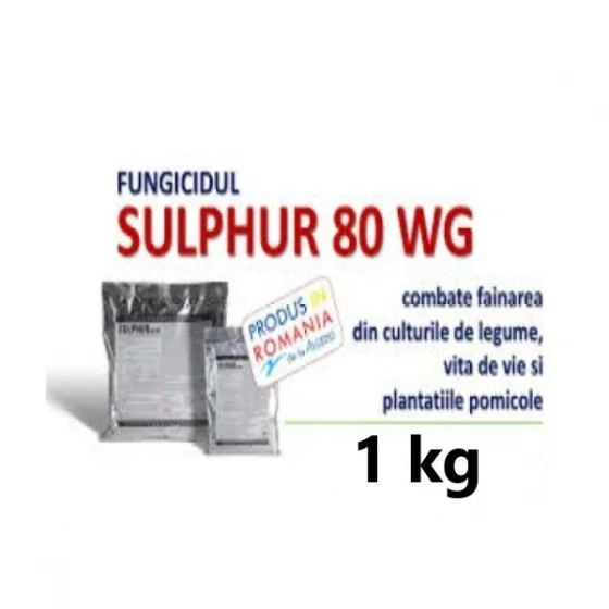 marketall202609162034142235138