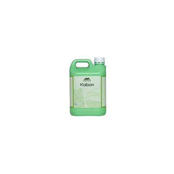 marketall202609162252042255048