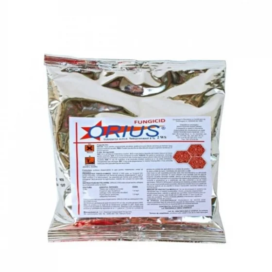 marketall202609162254482255369