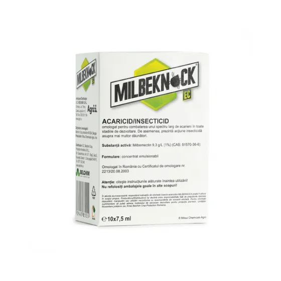 marketall202609162358072262899