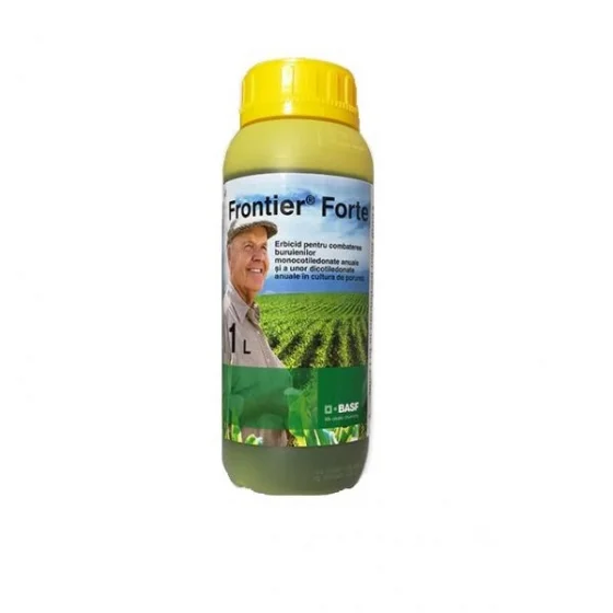marketall202609170013462264787
