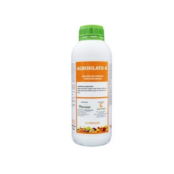 marketall202609170106292271738